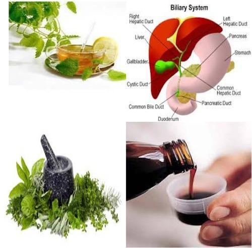 Liver Tonic Manufacturers in India